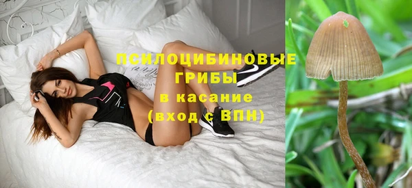мяу мяу мука Богородицк