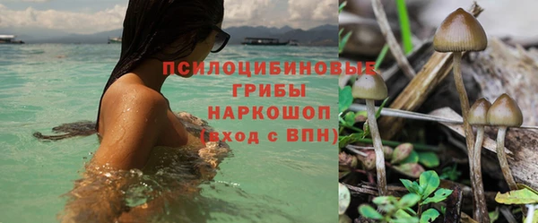 прущий лед Кинешма