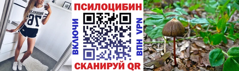 blacksprut онион  Сретенск  Галлюциногенные грибы Psilocybine cubensis  где купить  